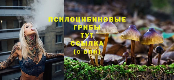 мескалин Белокуриха